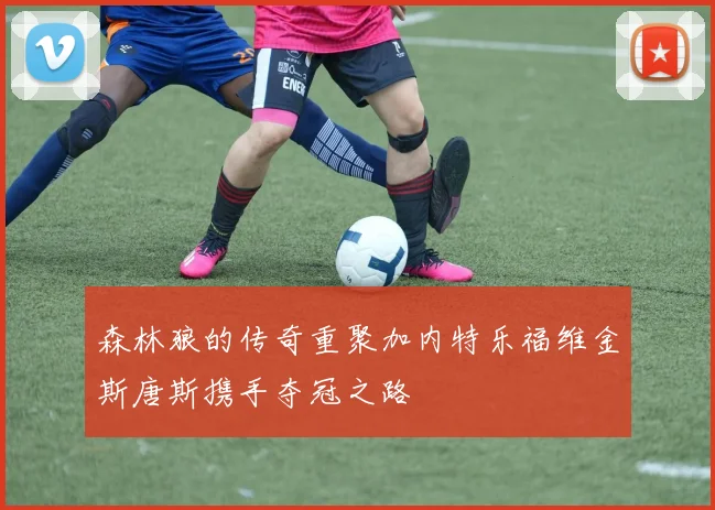 森林狼的传奇重聚加内特乐福维金斯唐斯携手夺冠之路